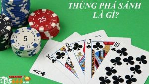 Thùng Phá Sảnh Là Gì? Khám Phá Chi Tiết Về Thùng Phá Sảnh