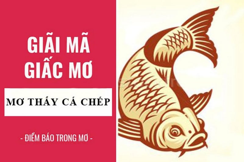 Cá chép mang nhiều ý nghĩa tâm linh, được xem là vận may với nhiều người