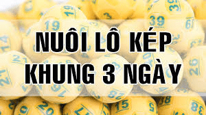 Nuôi lô kép nuôi khung 3 ngày ăn thông bất bại